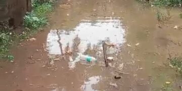 Creek water in populated areas