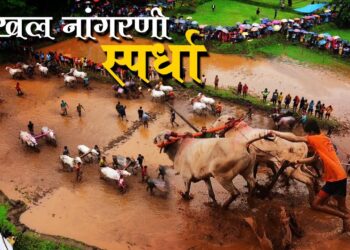 Chiplun mud plowing competition
