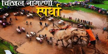 Chiplun mud plowing competition