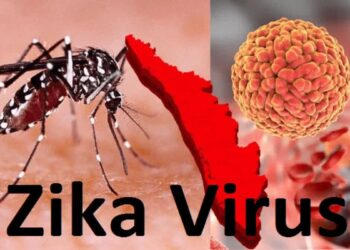 Spread of Zika virus in Pune