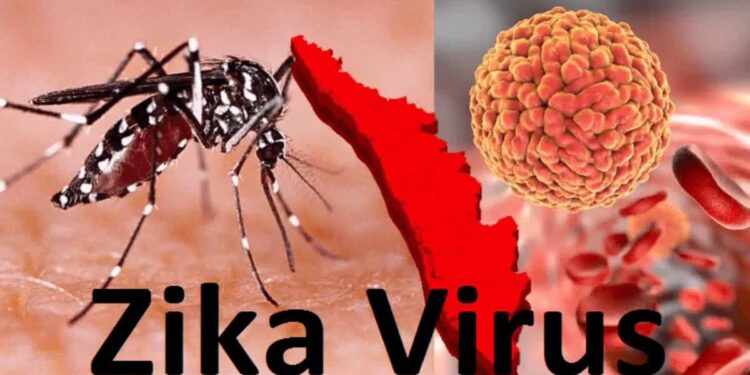 Spread of Zika virus in Pune