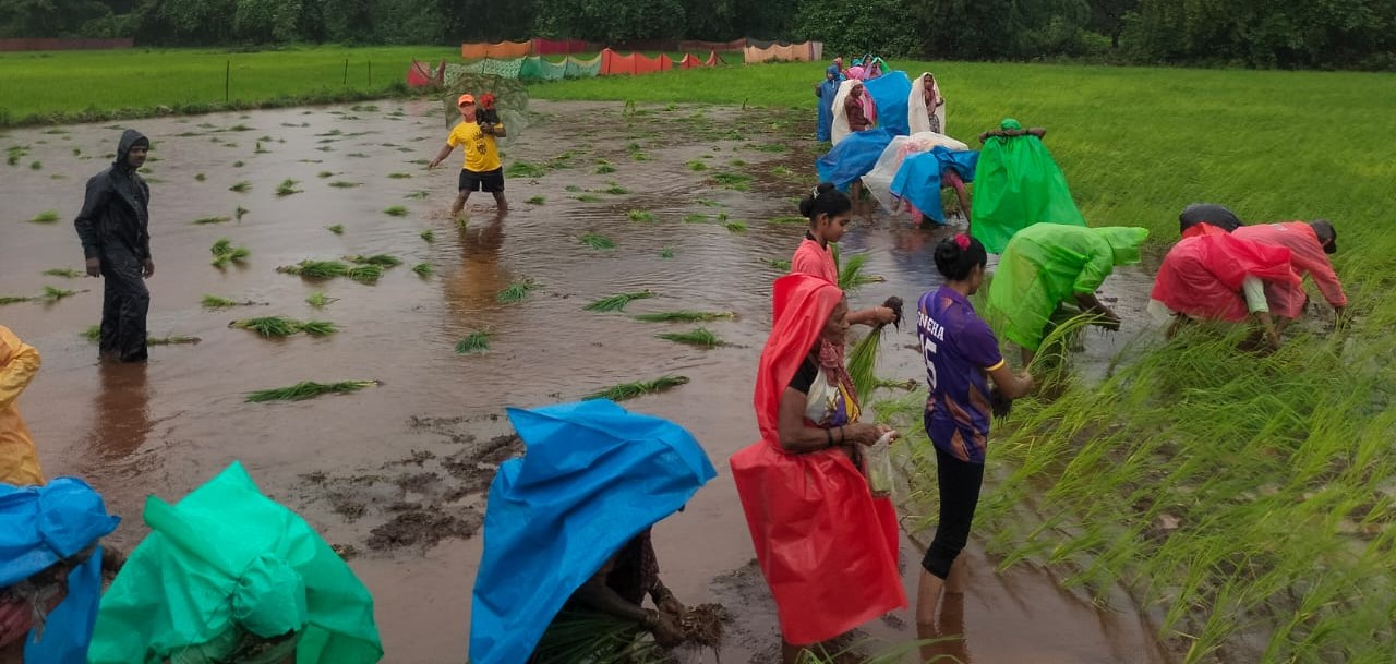 Social Farming Activities in Sakhri Khurd Village