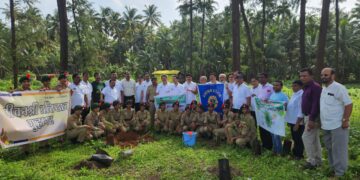 Plantation by Lions Club
