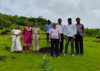 Plantation of trees on Independence Day