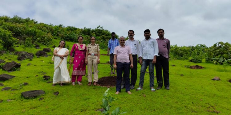 Plantation of trees on Independence Day
