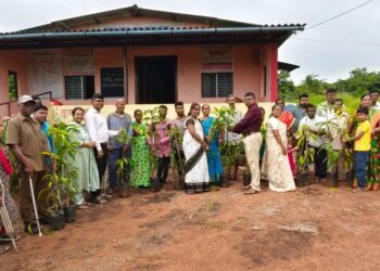 Distribution of trees on Memorial Day