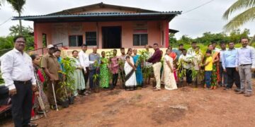 Distribution of trees on Memorial Day