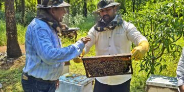 Bee keeping at Chorge Agro Farm