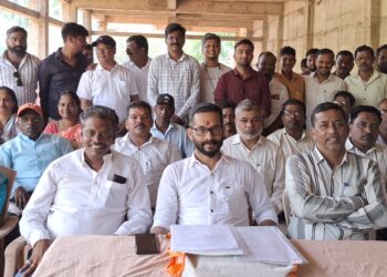 BJP will promote grand Alliance