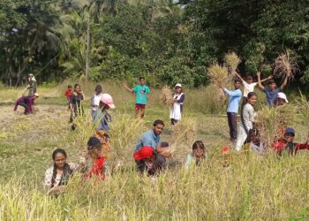 The real food provider is the farmer