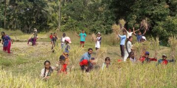 The real food provider is the farmer