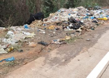 Garbage piled up at the gate of Sringartali
