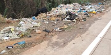 Garbage piled up at the gate of Sringartali