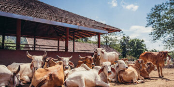 Workshop at Someshwar Vishwamangal School