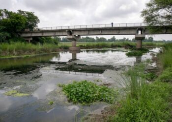 Symposium on Conservation of Rivers, Creeks