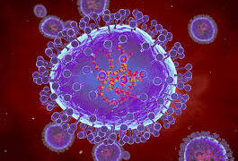 What is HMPV virus exactly?