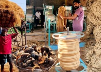 Free training for Kunbi Maratha women