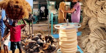 Free training for Kunbi Maratha women