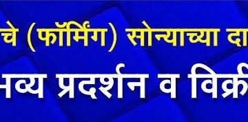 Exhibition of Electroforming Gold Jewellery