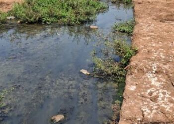 Contaminated water source in Shringaratali
