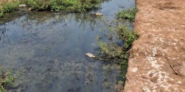 Contaminated water source in Shringaratali
