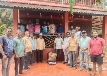 Purchase of cashew seeds from an organic producer