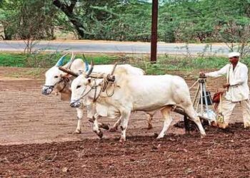 Monsoon early but what about sowing