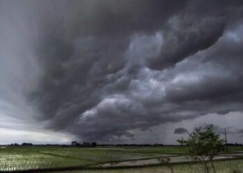 Monsoon to arrive in Kerala in two days