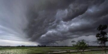Monsoon to arrive in Kerala in two days