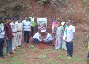 Tree plantation at Mundhar