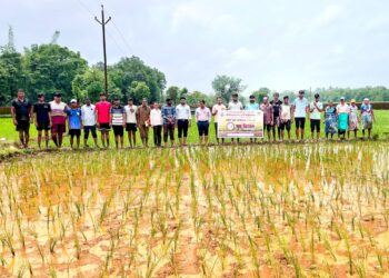 Farmers Guidance