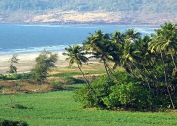 Promotion of Konkan development