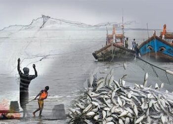 Strict action against illegal fishing