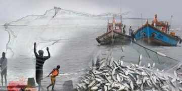 Strict action against illegal fishing