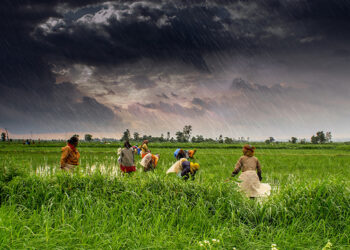 Monsoon has engulfed Maharashtra