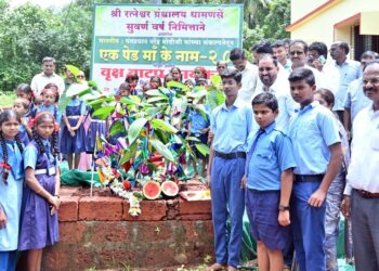 First Birthday of Kadamba Tree