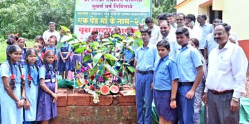 First Birthday of Kadamba Tree