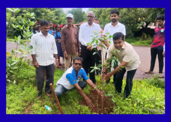 Tree plantation program at Palpene