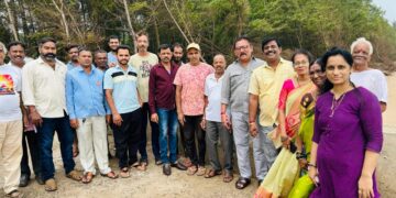 Fall of suru trees at Guhagar Varchapat