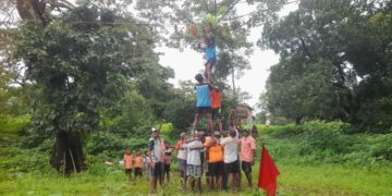 Dahi Handi festival in Tavasal