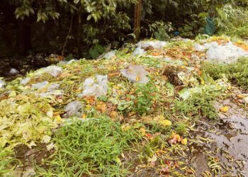 Gimvi-Deoghar Dumping Ground