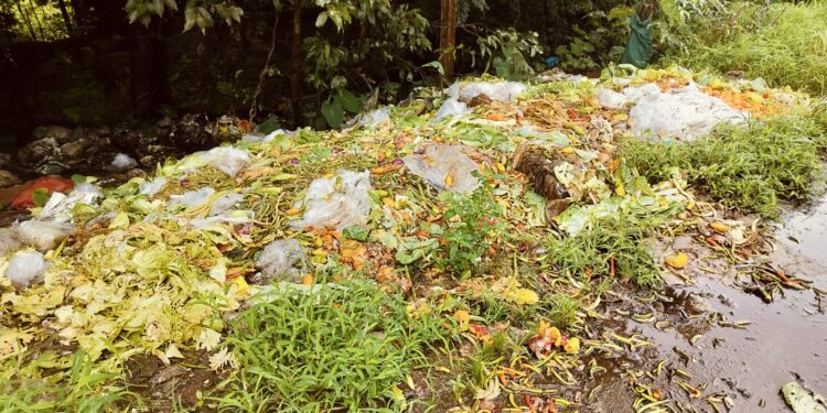 Gimvi-Deoghar Dumping Ground