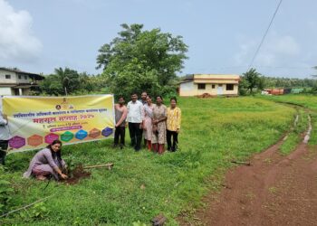 Trees planted on the occasion of Revenue Week