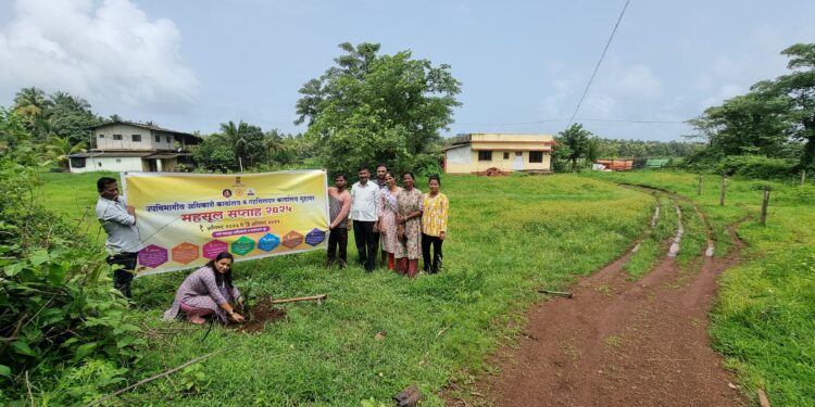 Trees planted on the occasion of Revenue Week