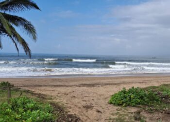 Guhagar beach cleanliness drive