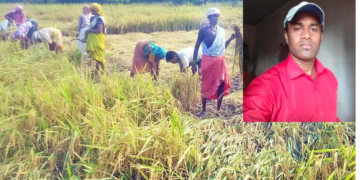 Youth dies after being struck by lightning in Chiplun