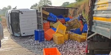 Tempo transporting fish overturns