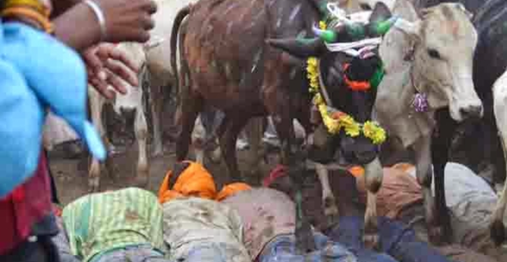 जनजातीयांची दिवाळी