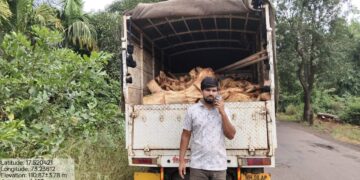 Theft of Khair wood in Palpen