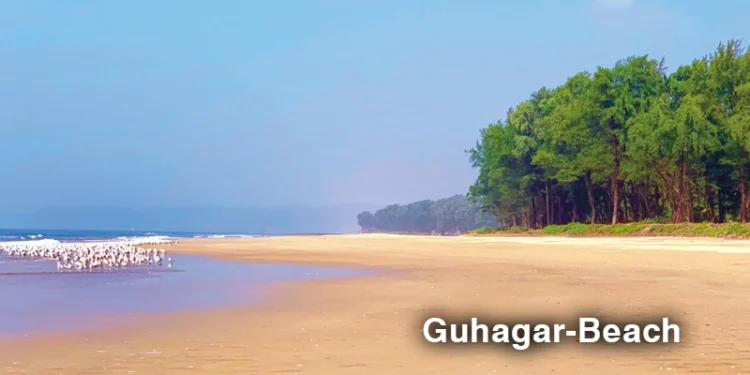 Blue Flag Pilot status for Guhagar beach